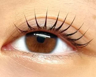 Close-up of a brown eye with long eyelashes